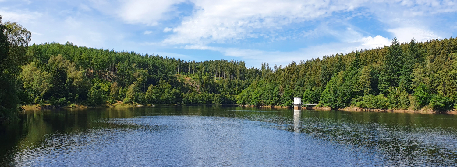 Ein Panorama der Kalltalsperre in Lammersdorf