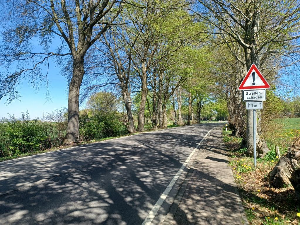 Straßenschäden Strauch