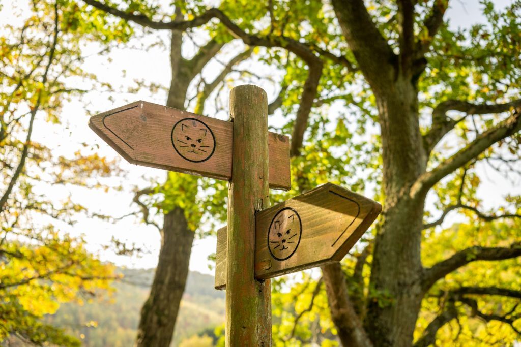 Wildnistrail