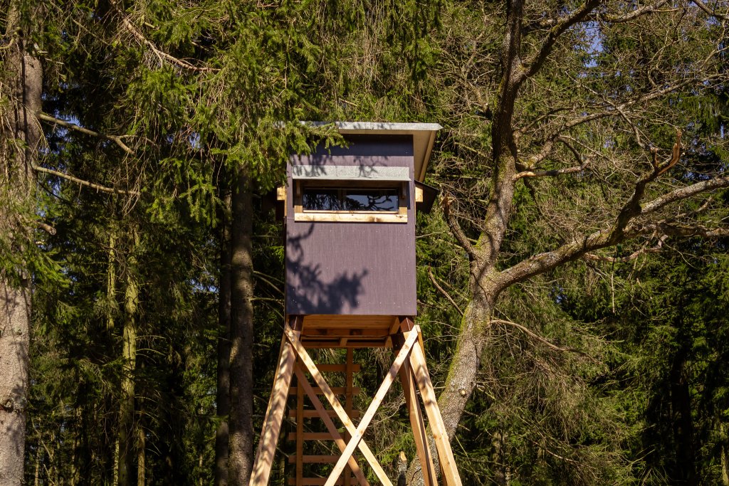 Hochsitz vor Nadelwald