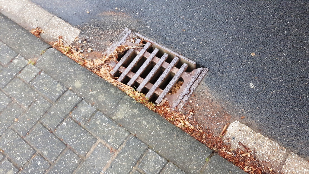 Kanaldeckel mit Laub