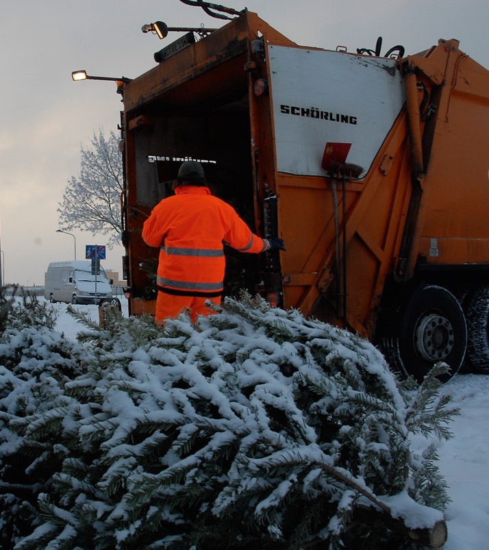 Ein Arbeiter sammelt den Weihnachtsbaum am Müllwagen ein