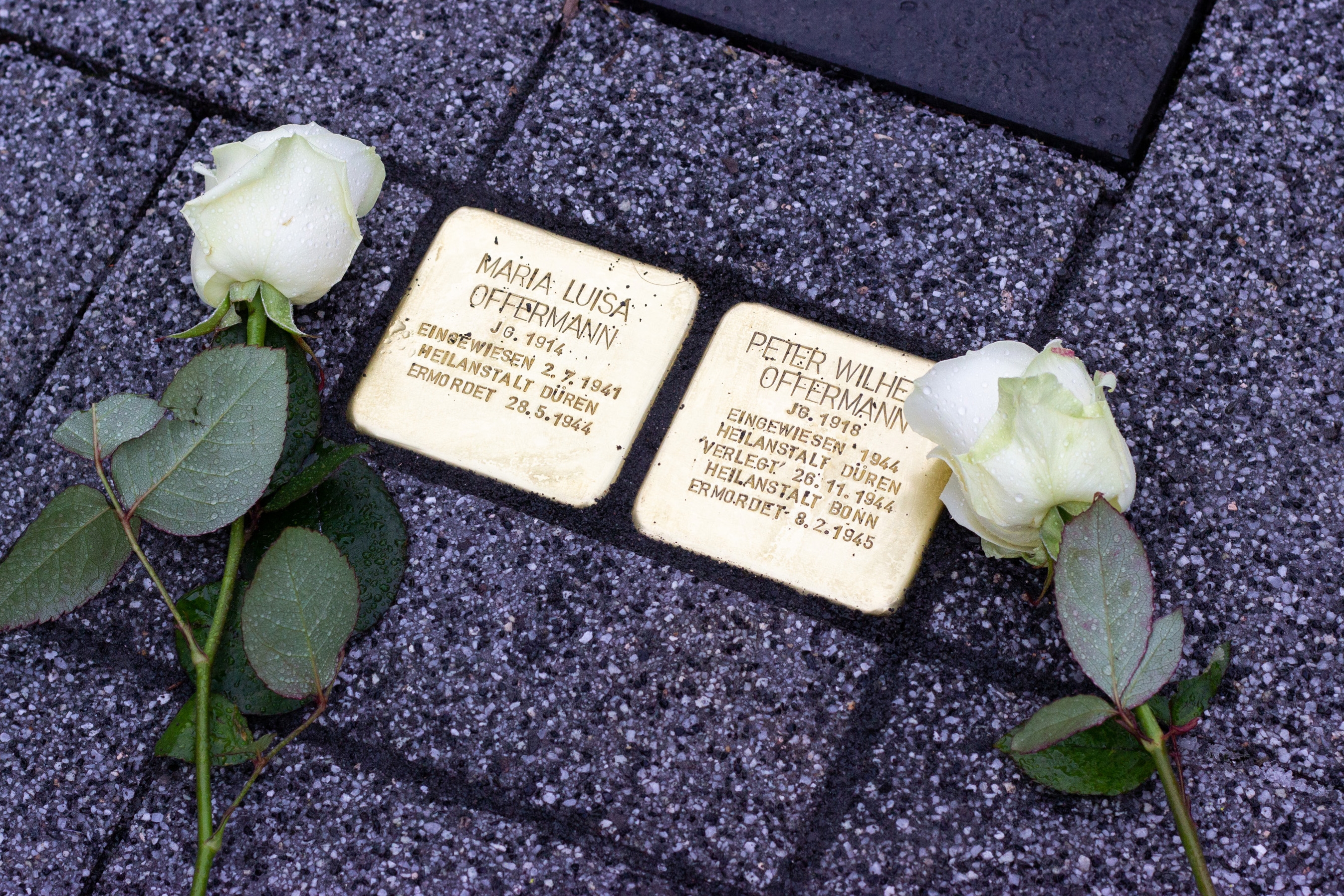Die Stolpersteine für Maria und Peter Offermann