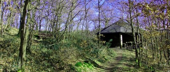 Grillhütte in Dedenborn